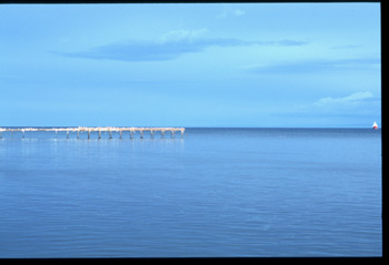 punta arena-04.jpg